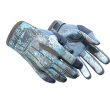 ★ Sport Gloves | Frosty (Minimal Wear)