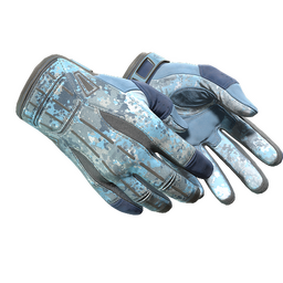 ★ Sport Gloves | Frosty