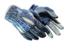 Sport Gloves | Amphibious (Battle-Scarred)