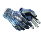★ Sport Gloves | Amphibious (Battle-Scarred)