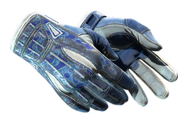 ★ Sport Gloves | Amphibious