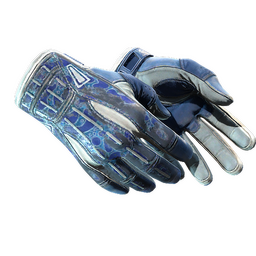 ★ Sport Gloves | Amphibious