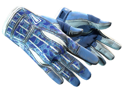 Gants de sport (★) | Amphibie
