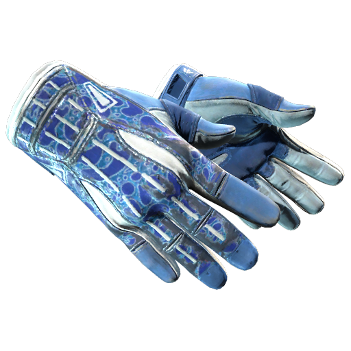 ★ Sport Gloves | Amphibious (Field-Tested), CS2 item