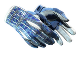★ Sport Gloves | Amphibious (Well-Worn)