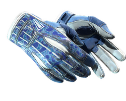 ★ Sport Gloves | Amphibious