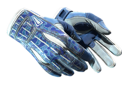 ★ Sport Gloves | Amphibious