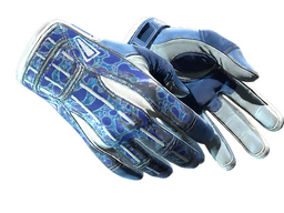 ★ Sport Gloves | Amphibious (Field-Tested)