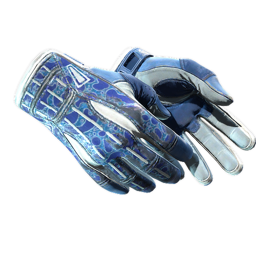 ★ Sport Gloves | Amphibious (Field-Tested) — CS2 item