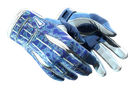 Sport Gloves | Amphibious (Minimal Wear)