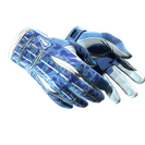 ★ Sport Gloves | Amphibious (Minimal Wear)