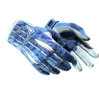 ★ Sport Gloves | Amphibious (Minimal Wear)