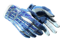 ★ Sport Gloves | Amphibious