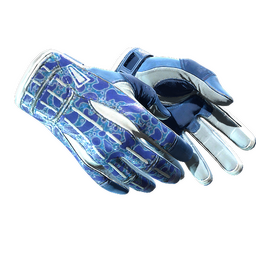 ★ Sport Gloves | Amphibious
