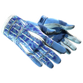★ Sport Gloves | Amphibious