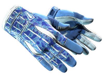 Guantes de deporte ★ | Anfibio