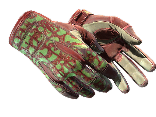 ★ Sport Gloves | Bronze Morph