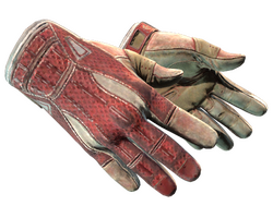 ★ Sport Gloves | Slingshot