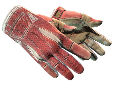 Guantes de deporte ★ | Slingshot
