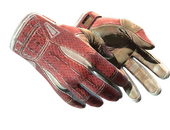 ★ Sport Gloves | Slingshot (Field-Tested)