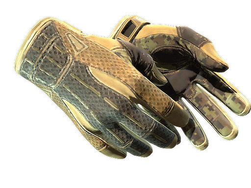 Buy Sport Gloves | Arid