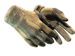 ★ Sport Gloves | Arid