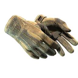 ★ Sport Gloves | Arid