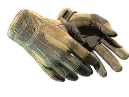 ★ Sport Gloves | Arid (Battle-Scarred)