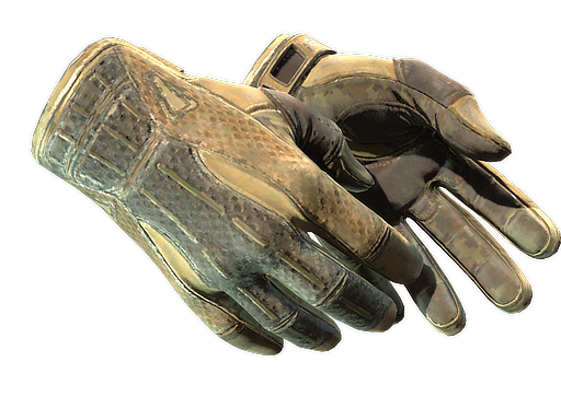 ★ Sport Gloves | Arid