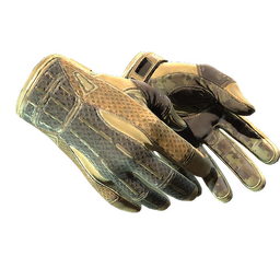 ★ Sport Gloves | Arid