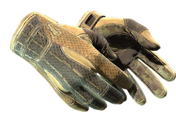 ★ Sport Gloves | Arid (Field-Tested)