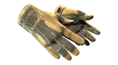 ★ Sport Gloves | Arid (Field-Tested)