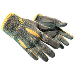 ★ Sport Gloves | Omega