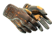 ★ Sport Gloves | Big Game (Battle-Scarred)