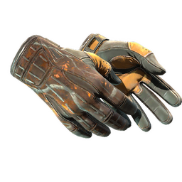 ★ Sport Gloves | Big Game