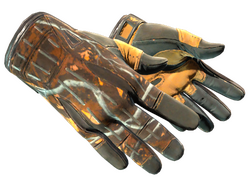 ★ Sport Gloves | Big Game