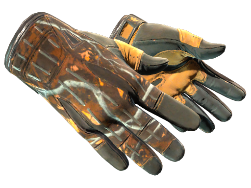 ★ Sport Gloves | Big Game