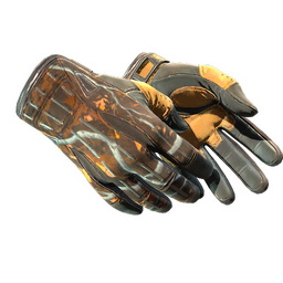 ★ Sport Gloves | Big Game