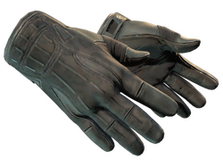 ★ Sport Gloves | Nocts