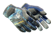 ★ Specialist Gloves | Mogul (Field-Tested)