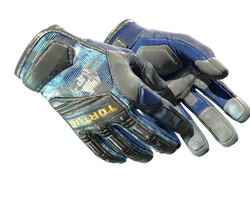 ★ Specialist Gloves | Mogul