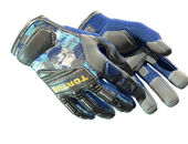 ★ Перчатки спецназа | Покоритель гор (Прямо с завода)