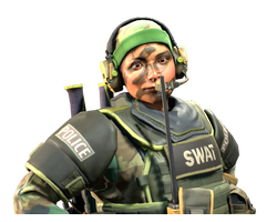 Lieutenant 'Tree Hugger' Farlow | SWAT