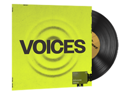 StatTrak Music Kit | ShockOne, Voices