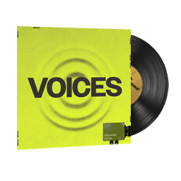 StatTrak™ Music Kit | ShockOne, Voices