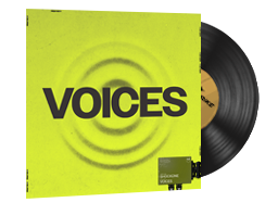 StatTrak Music Kit | ShockOne, Voices