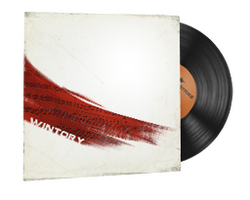 StatTrak Music Kit | Austin Wintory, Desert Fire
