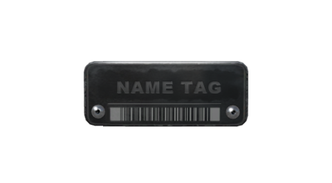 Name Tag