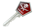 Falchion Case Key