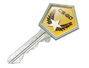 Winter Offensive Case Key